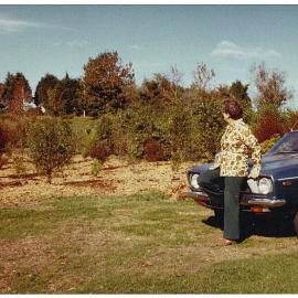 Early plantings in McCloughlin Park, Te Puke