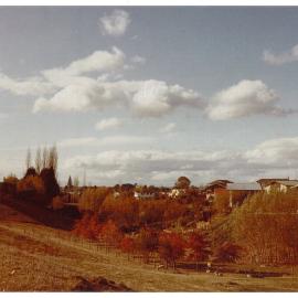 Land that became Noel Bowyer Park, Te Puke