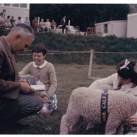 Noel judging school calf and lamb club