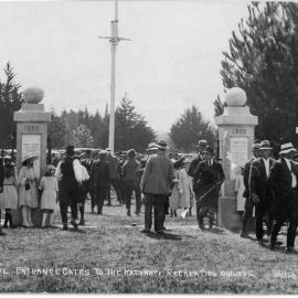 Uretara Domain Katikati 