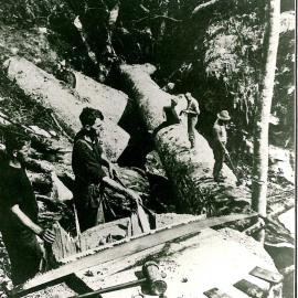Logging equipment