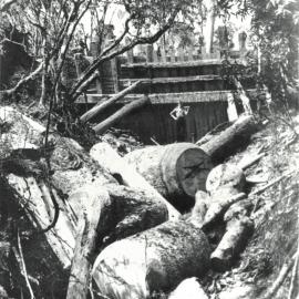 Kauri logs below dam, Katikati