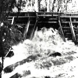 Water rushing through a tripped Kauri dam
