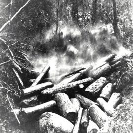 Water rushing through a tripped log dam
