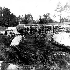 Timber stacks 