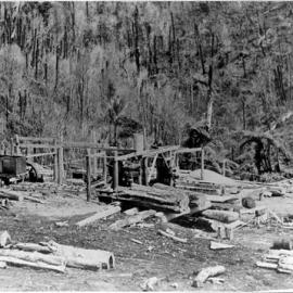 Sawmill 