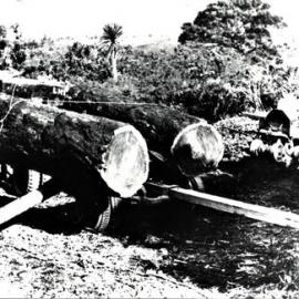 Loading kauri logs at Busby Road, Katikati.