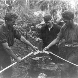Kauri bushmen with their axes