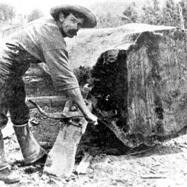 Timber jack 