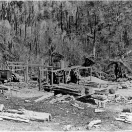 Bush sawmill