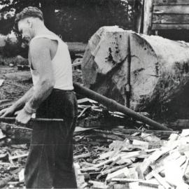 Last Kauri log milled at Baker Sawmill