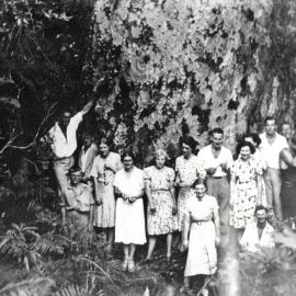 Sightseers at base of large kauri tree, Katikati