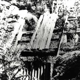 Remnants of Kauri log dam in the bush, Katikati