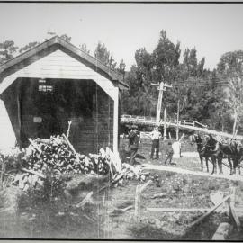 The Dairy Industry in Katikati