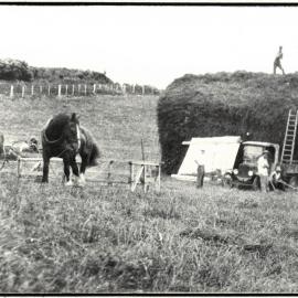 Haymaking