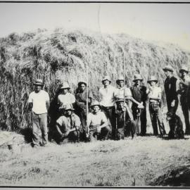 Haymaking