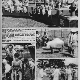 Te Puke A & P Show 1966
