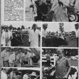 Te Puke A & P Show 1968