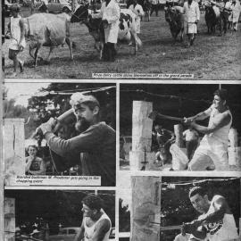 Katikati A & P Show 1970