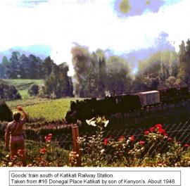 Goods train south of Katikati