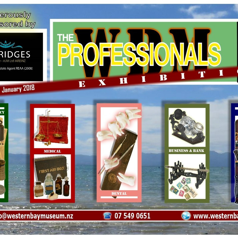 The Professionals 