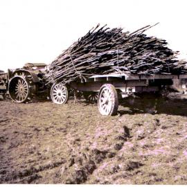 Tractor and trailer of loaded with Manuka branches