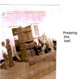 Pressing tobacco leaf