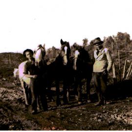 Road contracting Kaimai Road