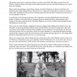 Christmas holiday camping at Omokoroa Beach