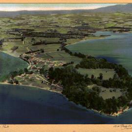Omokoroa Point 1956 (2)