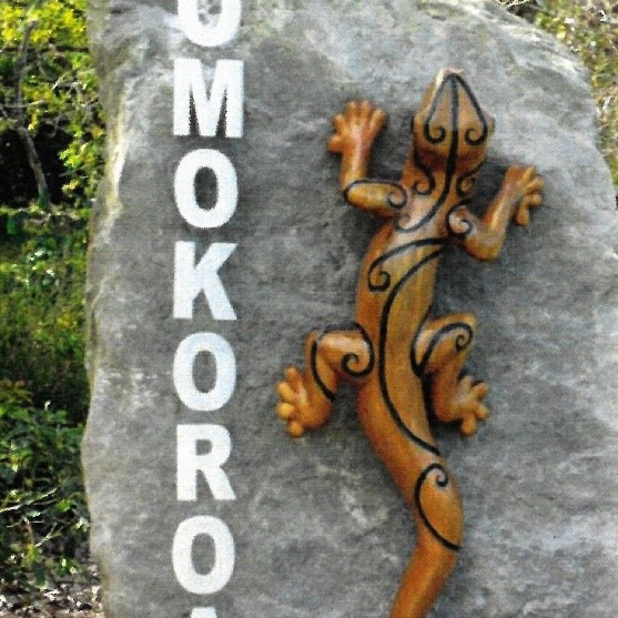 Unsworth Omokoroa Point photos