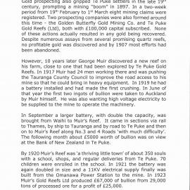 Muir's Reef gold mine