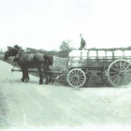 Horses and cream wagon