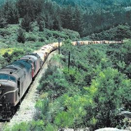 Goods train through the Athenree Gorge