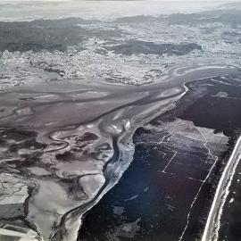 Katikati from the Air 1977