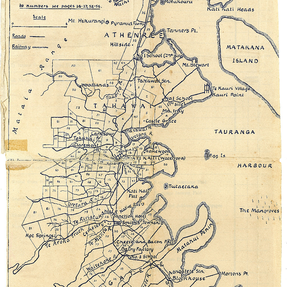 Katikati Settler Land Allotments, 1875-1878