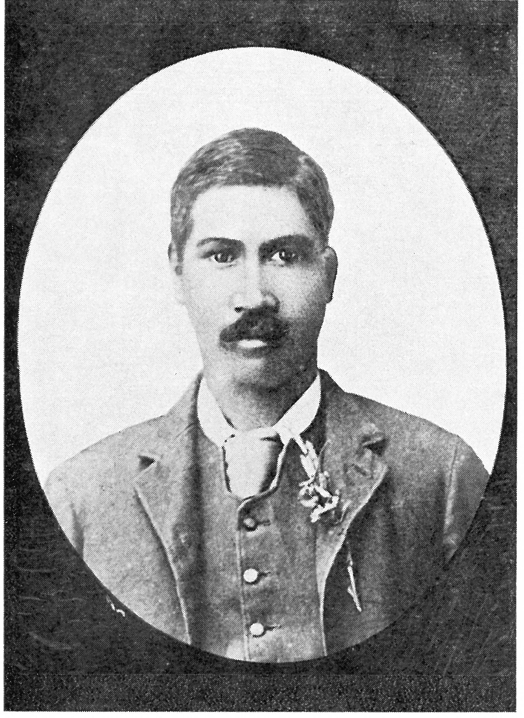 Potaua Tangitu taken from "The Wairere Track."