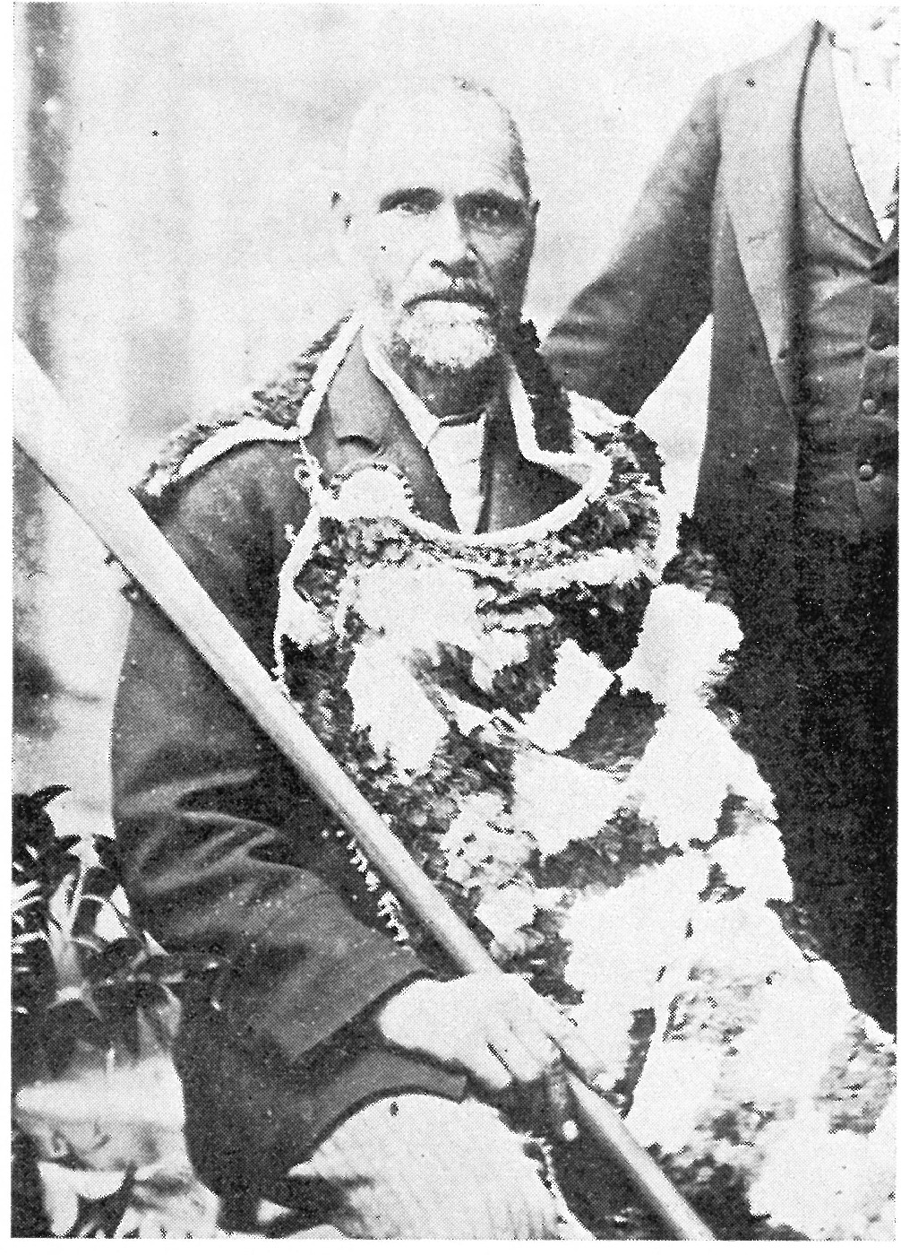 Te Mete Raukawa of Bethlehem from "The Wairere Track"