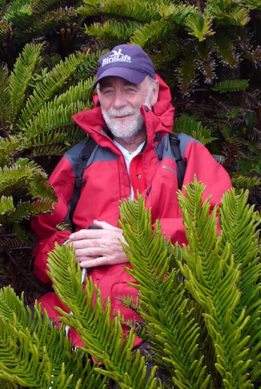 Interview with Julian Fitter of the Maketu Ongatoro Wetlands Society