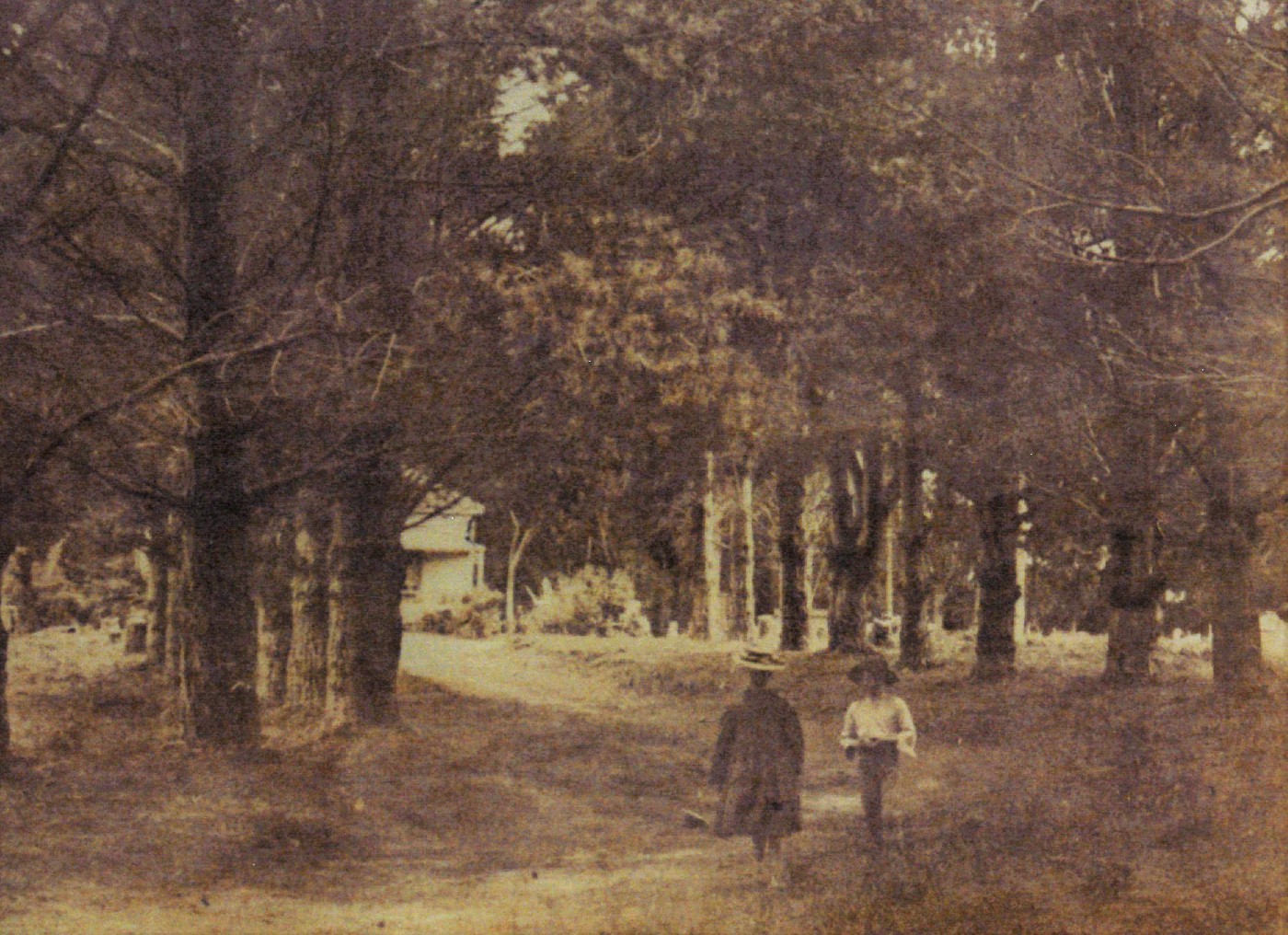 Emily Surtees image collection