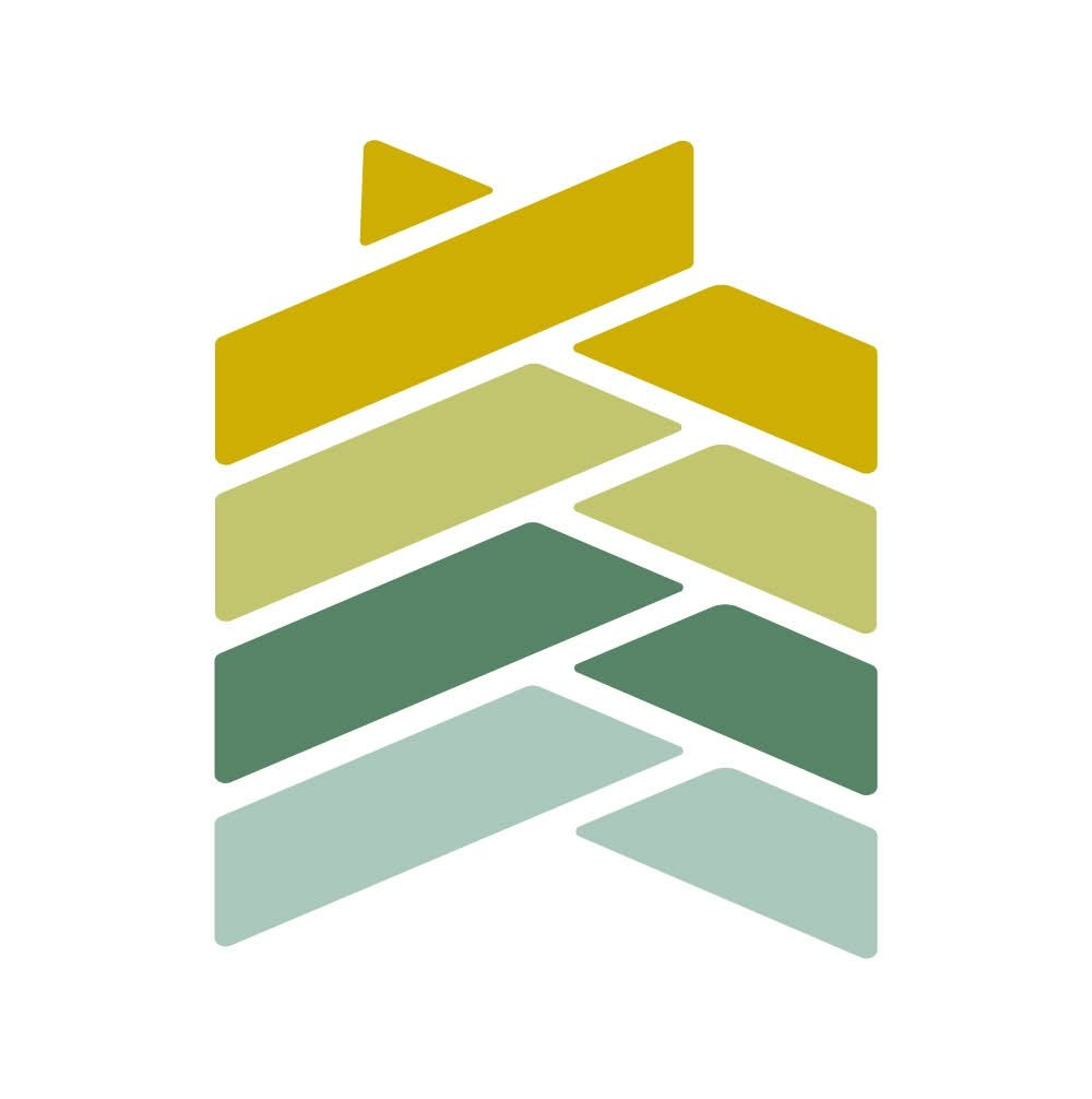 The Katikati College brand, introduced in 2026